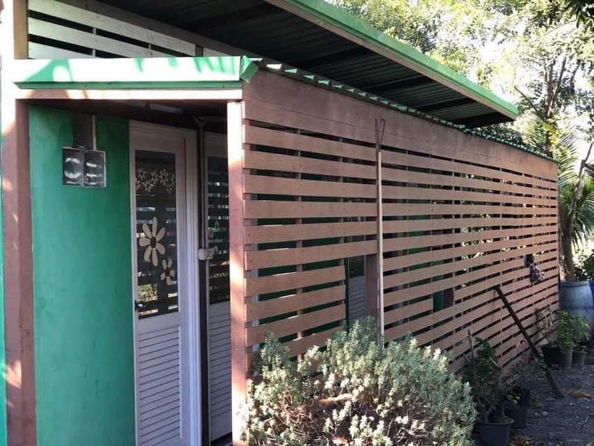 ที่ดิน 13