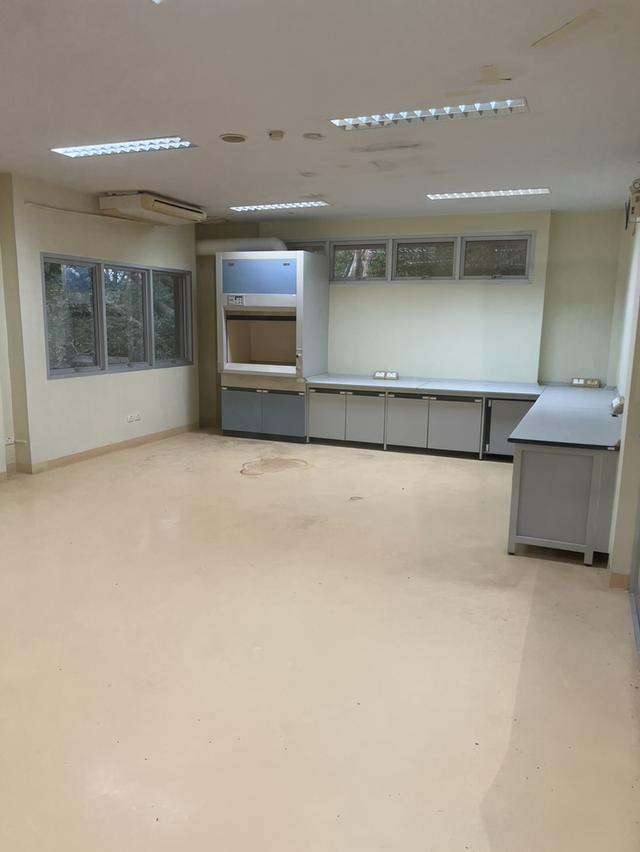 โรงงานและที่ดิน จังหวัดระยอง 10