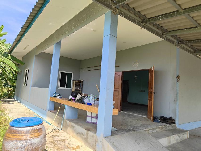 บ้านพร้อมที่ดินรวม1ไร่3งาน81ตรว. 10