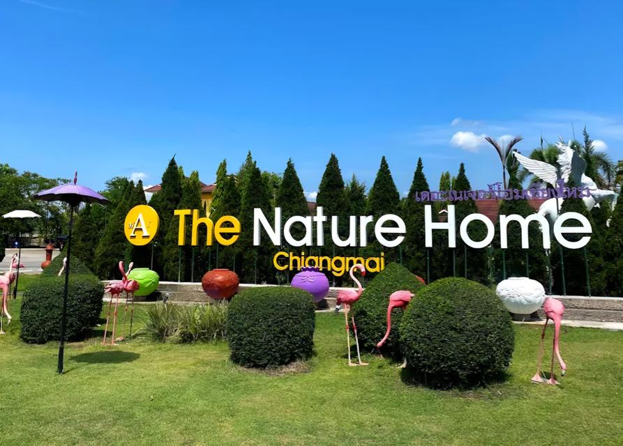 ที่ดินเปล่า อ.หางดง จ.เชียงใหม่ 4