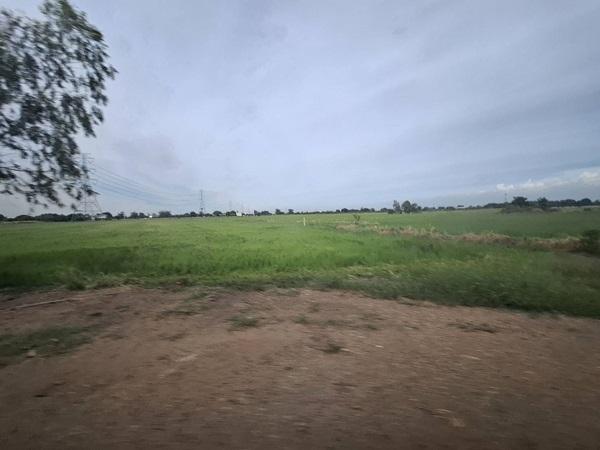 ขายที่ดินติดถนน เแปลงใหญ่สวย ติดถนนสาย 347 ปทุมธานี-บางปะหัน ต.บางประแดง อ.บางประอิน จ.พระนครศรีอยุธยา กม. 29-30 โทร 095-8299247 7