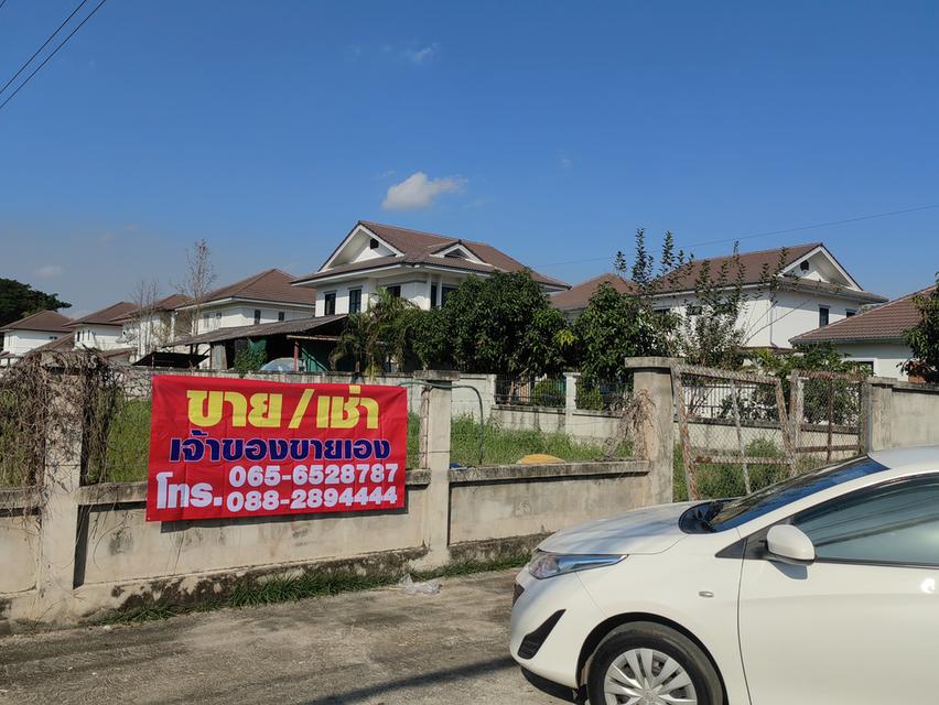 ที่ดินเปล่าเชียงใหม่ 2ไร่ 2งาน 5 ตรว. ขายต่ำกว่าราคาประเมิน 3