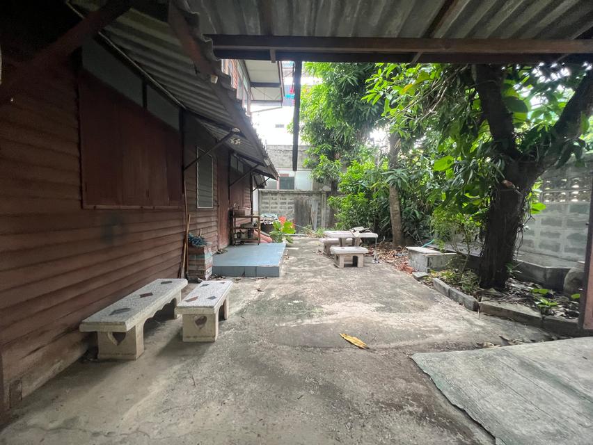 ขายที่ดิน ถ. ประชาราษฎร์ ( ซ.วัดลานนาบุญ ) ถ. นครอินทร์ , ใกล้ บิ๊กซี ติวานนท์ , MRT (สะดวกแม้ไม่ใช้รถ เดินสบายใกล้ถนนใหญ่เพียง 2 นาที) 11