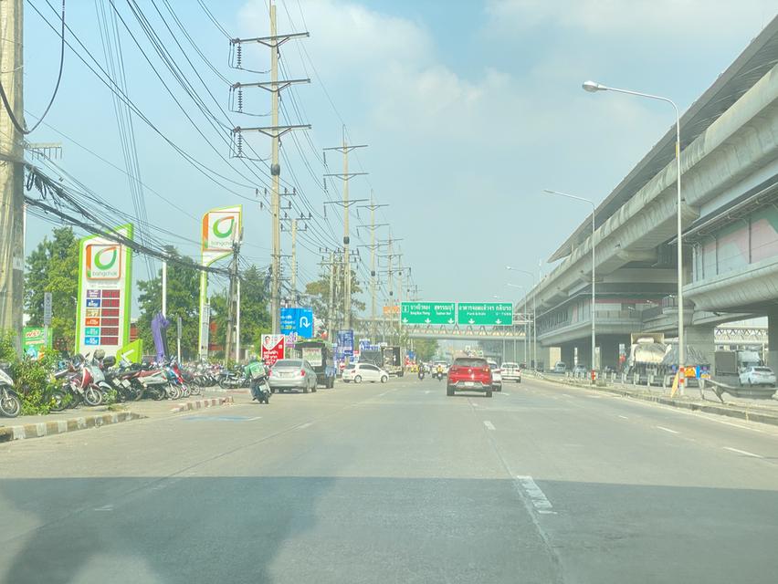 ขายที่ดิน 53 ตร.วา หมู่บ้านชัยพฤกษ์ ซอยวัดลาดปลาดุก บางใหญ่ จ.นนทบุรี 7