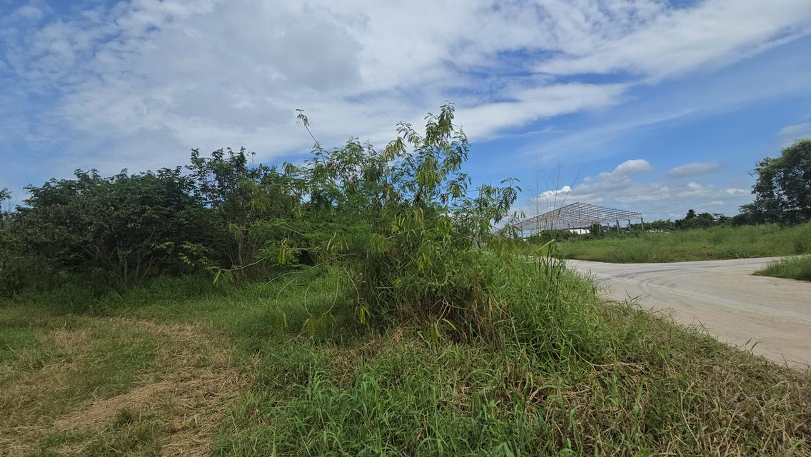 ที่ดินชลบุรี ใกล้ ชลบุรี แกลง 7