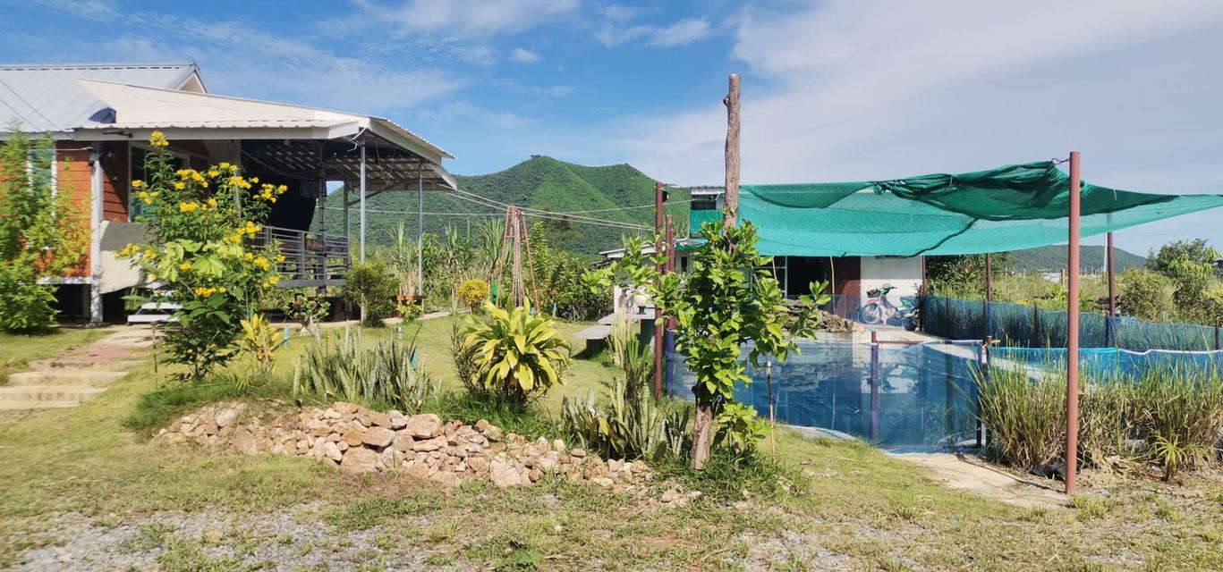 ขายด่วน! บ้านสวนบนเนิน วิวเขาพาโนรามา ติดโครงการชั่งหัวมัน (โฉนดครุฑแดง) 12
