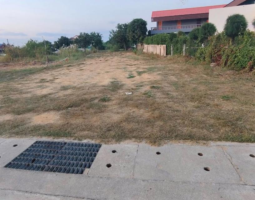 ขายที่ดินพัทยา ห้วยใหญ่ 121 ตรว.ถมแล้วเทศบาล1ซอย12 ใกล้หาดบ้านอำเภอ7กม. อ.บางละมุง ชลบุรี 2