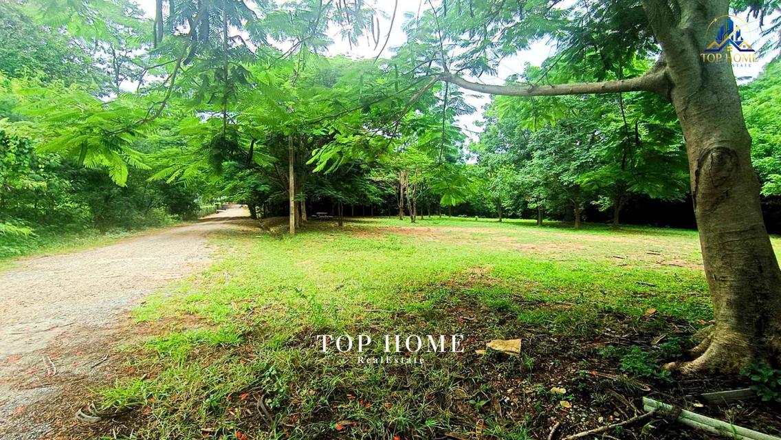 ขายด่วน! ที่ดินแปลงมุม วิวภูเขา | มวกเหล็กวัลเลย์ สระบุรี 🔥 🌿 แปลงสวย ถมแล้ว บรรยากาศดี เป็นส่วนตัว — พร้อมสร้างบ้านพักตากอากาศในฝัน 7