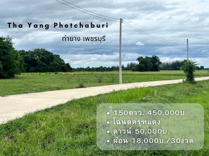 ที่ดิน ท่ายาง จ.เพชรบุรี 7
