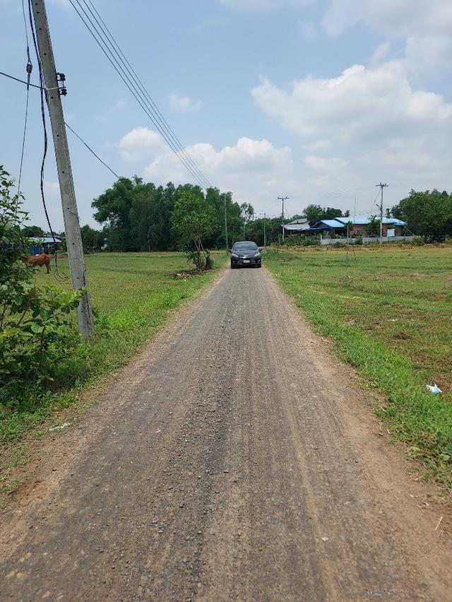 ที่ดินเปล่าสำหรับทำการเกษตร 2