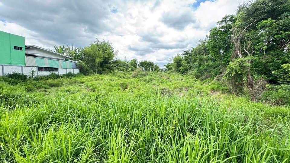 ที่ดิน ติด4เลน เชียงใหม่ สันป่าตอง 11