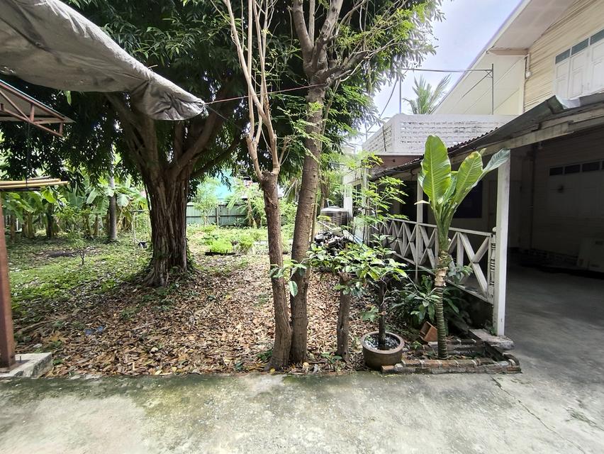 บ้านเดี่ยวเนื้อที่ 446 ตรว. ใจกลางเมือง เหมาะสำหรับลงทุน 10