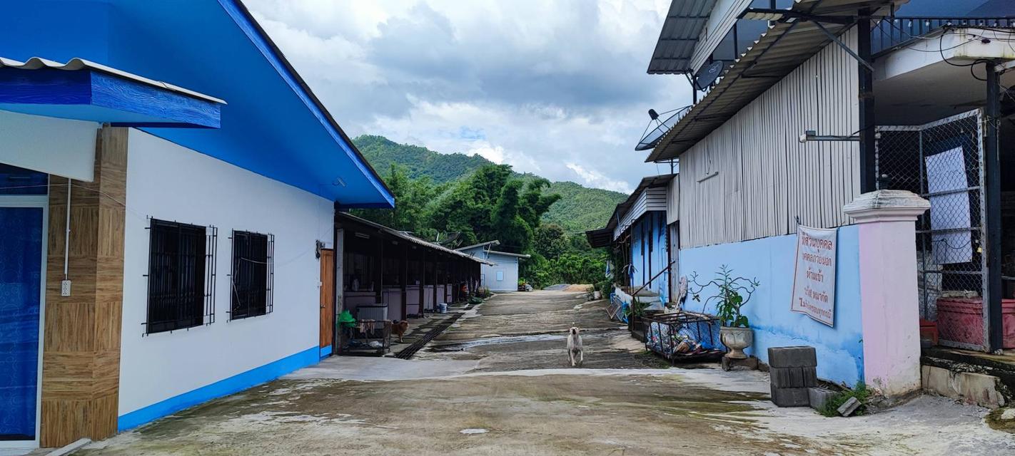 🏡🌿 ขายที่ดินพร้อมสิ่งปลูกสร้าง 10 ไร่กว่า ตรงข้ามโรงแรมกัซซัน ขุนตาน กอล์ฟ แอนด์ รีสอร์ท อ.แม่ทา จังหวัดลำพูน 15