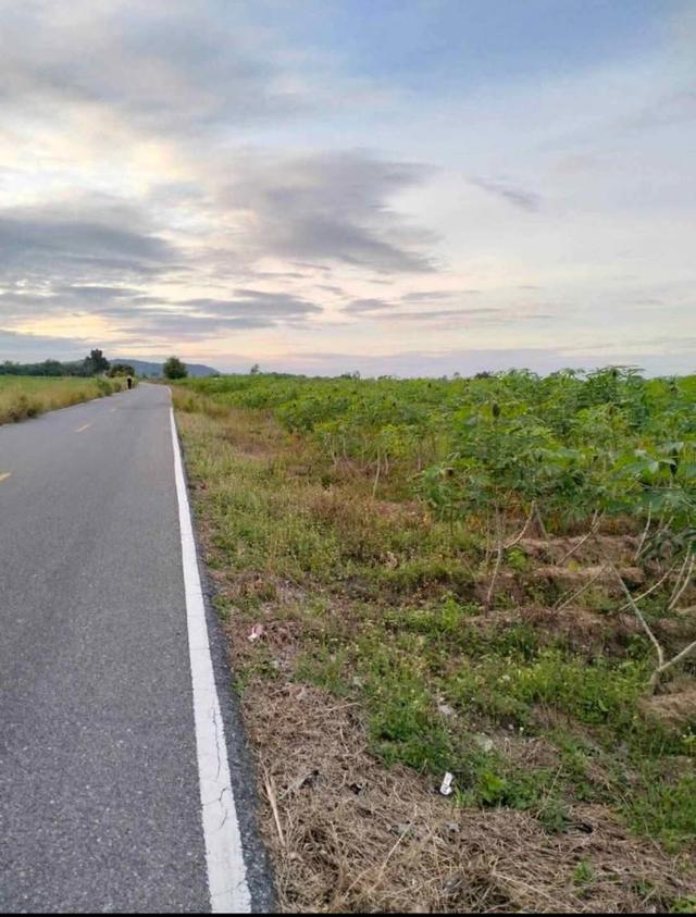 ขายที่ดิน 4