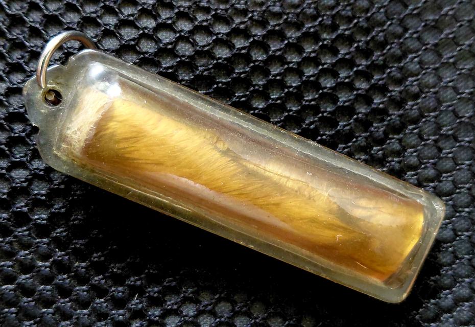 ตะกรุตหนังหน้าผากเสือ หลวงพ่อเที่ยง รูปที่ 2