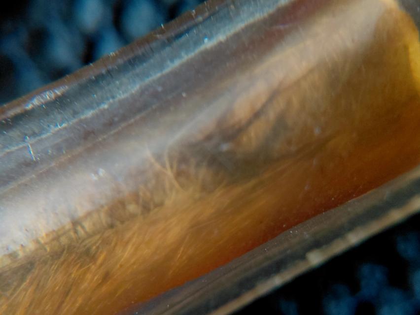 ตะกรุตหนังหน้าผากเสือ หลวงพ่อเที่ยง รูปที่ 5