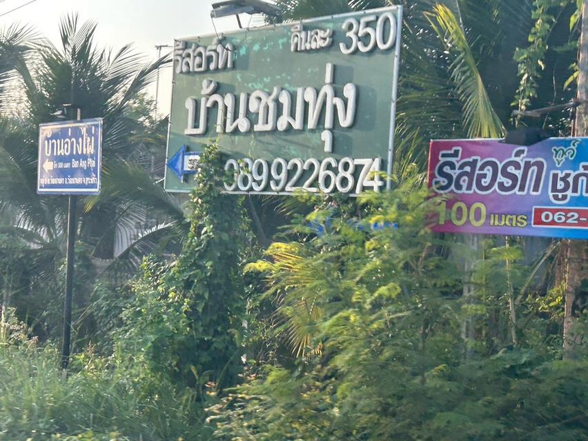 ที่ดินสวนมะขามยักษ์ 3ไร่ สวนมากกว่า 50 ต้น 3