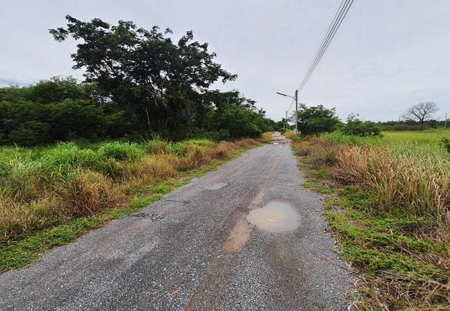 ขายที่ดิน หนองเสือคลอง 10 ถนนรังสิต-นครนายก อำเภอหนองเสือ ปทุมธานี 8