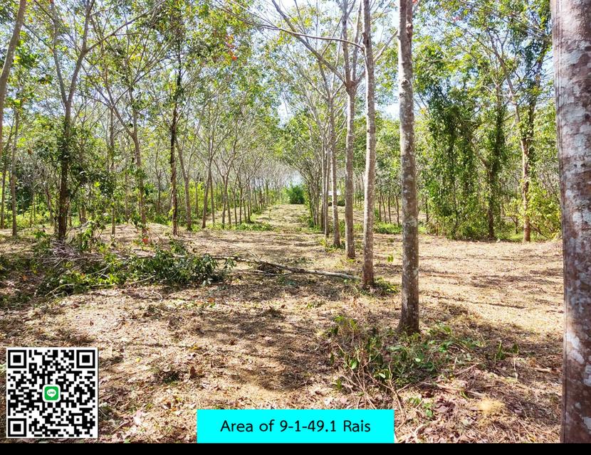 Land for Sale in Phuket – Ideal for Investment! Only 15 Minutes from Phuket International Airport!