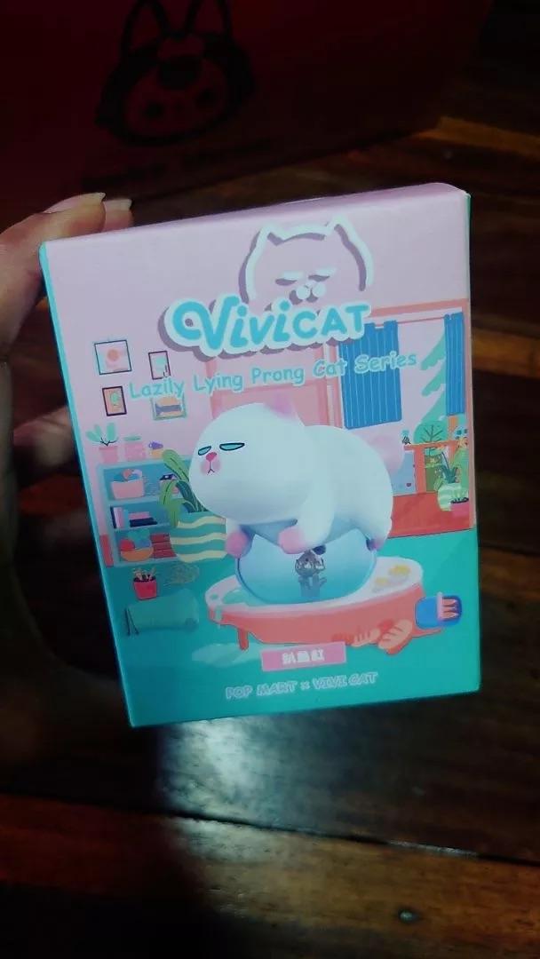 ปล่อยน้อง Vivicat  2