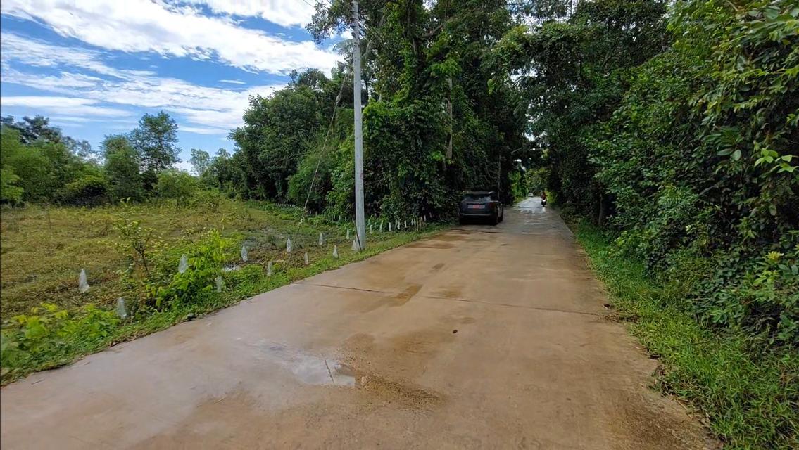 ขายที่ดิน 4 ไร่เศษ ไกล้นิคม 304 2