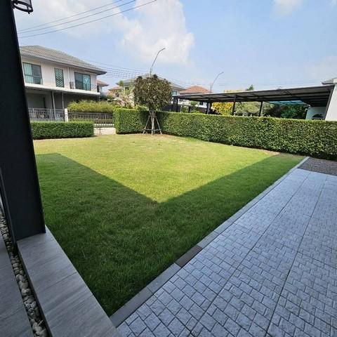 PP520 ขายบ้านเดี่ยว โครงการ เพฟ รามอินทรา-วงแหวน Pave Ramintra-Wongwaen มีบริเวณสวนหน้าบ้าน บรรยากาศดีร่มรื่น เพื่อนบ้านน่ารัก 4