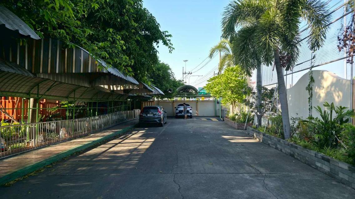 ให้เช่าที่ดินโรงเรียนอนุบาลวัยใสพร้อมอาคาร 5