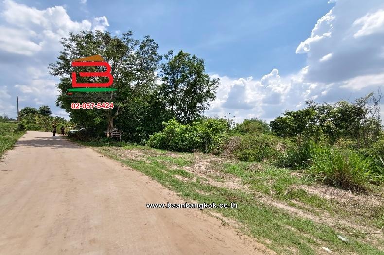 ที่ดินเปล่า บ้านหนองแสง เนื้อที่ 23-0-22 ไร่ ซ.เทศบาลตำบลบ้านซ่อง 34 ตำบลเขาหินซ้อน อำเภอพนมสารคาม จังหวัดฉะเชิงเทรา 5