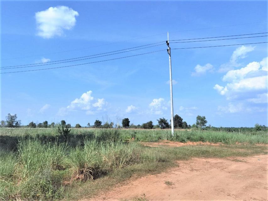 รูป ขาย ที่ดิน ME147 แปลงใหญ่ ทำเลดี ติดถนนทางหลวง 331 หนองปรือ พนัสนิคม ชลบุรี . 22 ไร่ 2 งาน 76 ตร.วา ที่สูง ไม่ต้องถม ขาย 2