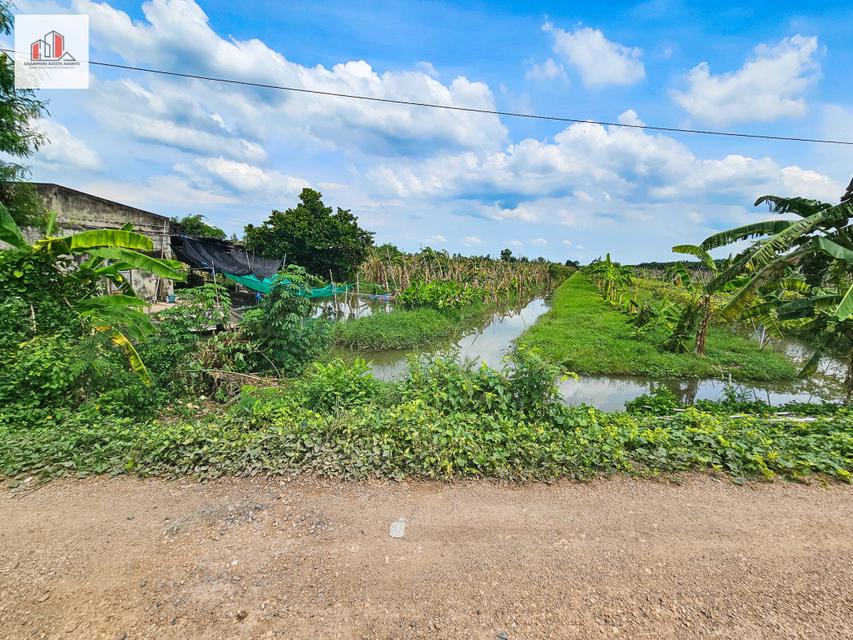 ขาย ที่ดิน ร่องสวน ราคาถูก-ใกล้ราคาประเมิณ ปทุมธานี อ.หนองเสือ ติดสระบุรี 44 ไร่ 5