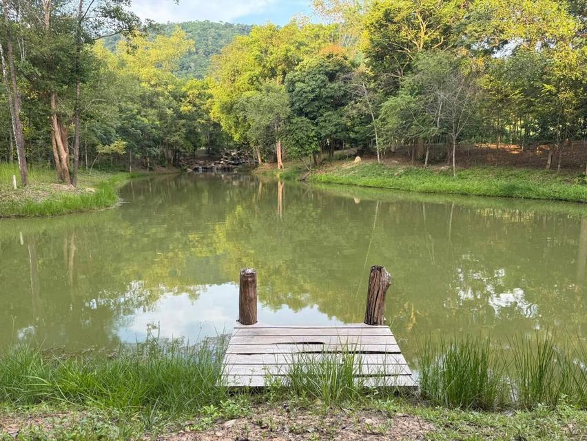 ขายที่เนินหอม เขาใหญ่ 37ไร่ ที่ติดเขาติดน้ำ เนินหอม เมืองปราจีนบุรี มีแหล่งน้ำธรรมชาติ ใกล้ทางขึ้นอุทยานเขาใหญ่ มีน้ำในที่ ขายถูก ที่มีไม้เศรษฐกิจ 4