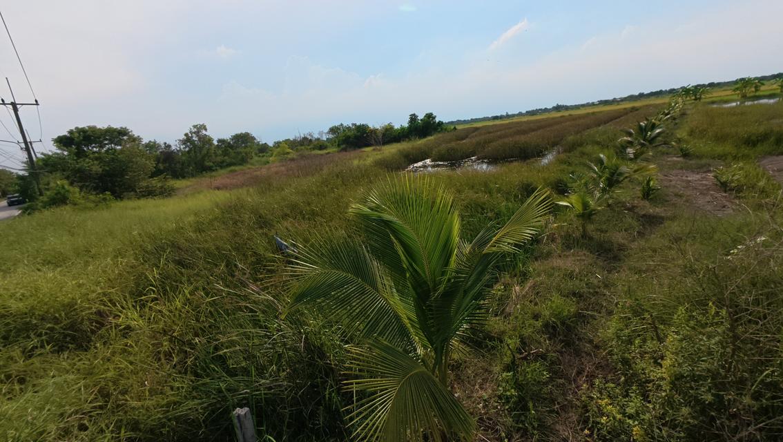 ที่ดินเปล่า ถมแล้ว ถนนคลองหลวง ต.คลองหก อ.คลองหลวง จ.ปทุมธานี 5