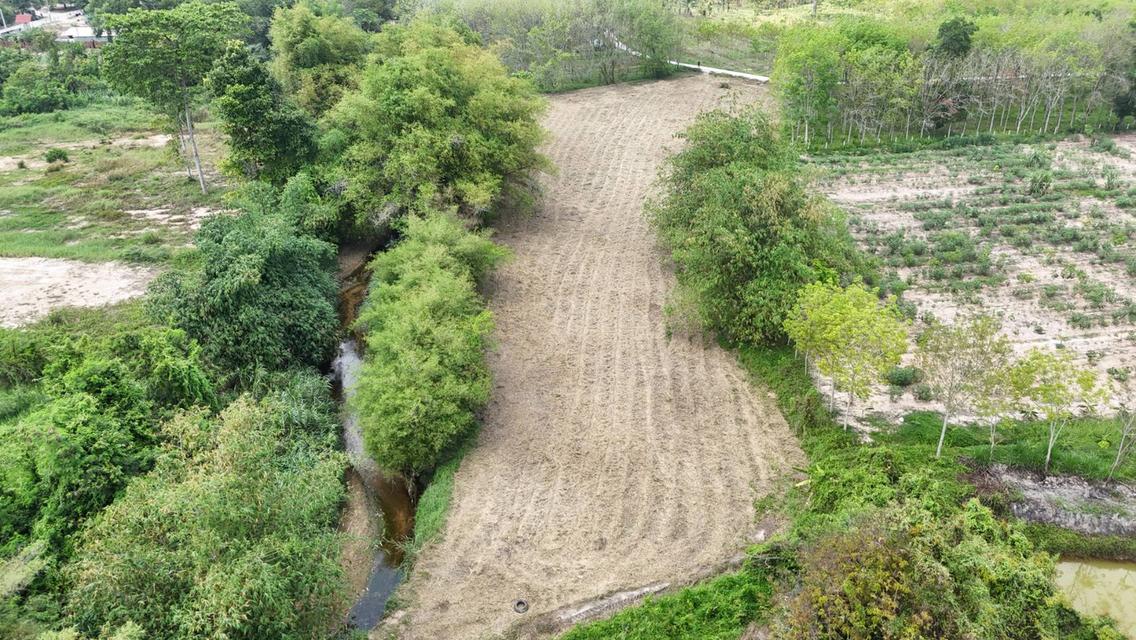 ขายที่ดินเปล่า 4-2-50 ไร่ ทำเลศักยภาพ ติดคลองกระเฉท น้ำไหลตลอดปี ใกล้นิคมอุตสาหกรรม ต.มาบข่า ระยอง 1