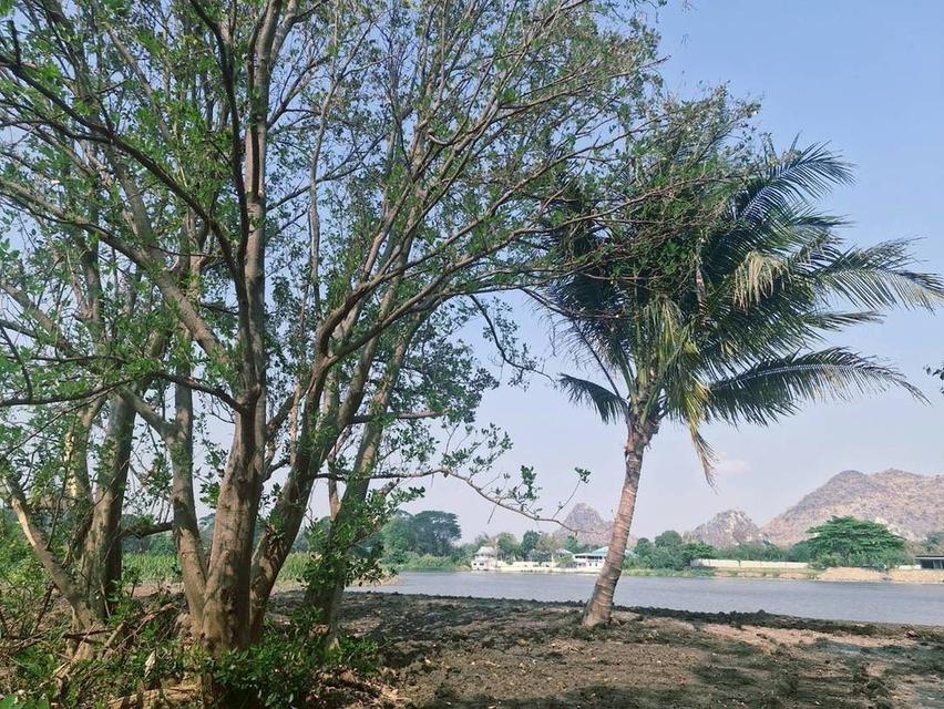 ขายที่ดิน ริมน้ำในเมืองโอกาสแบบนี้ไม่ได้มีบ่อย — แปลงใหญ่ วิวภูเขา ติดแม่น้ำแควน้อย 1