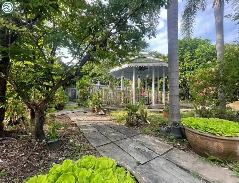 บ้านเดี่ยว 191 ตร.วา ใกล้รถไฟฟ้า 290 เมตร สุขุมวิท ปากน้ำ สมุทรปราการ ราคาพิเศษ 14.9 ล้าน เจ้าของขายเอง 083-898-3444 8