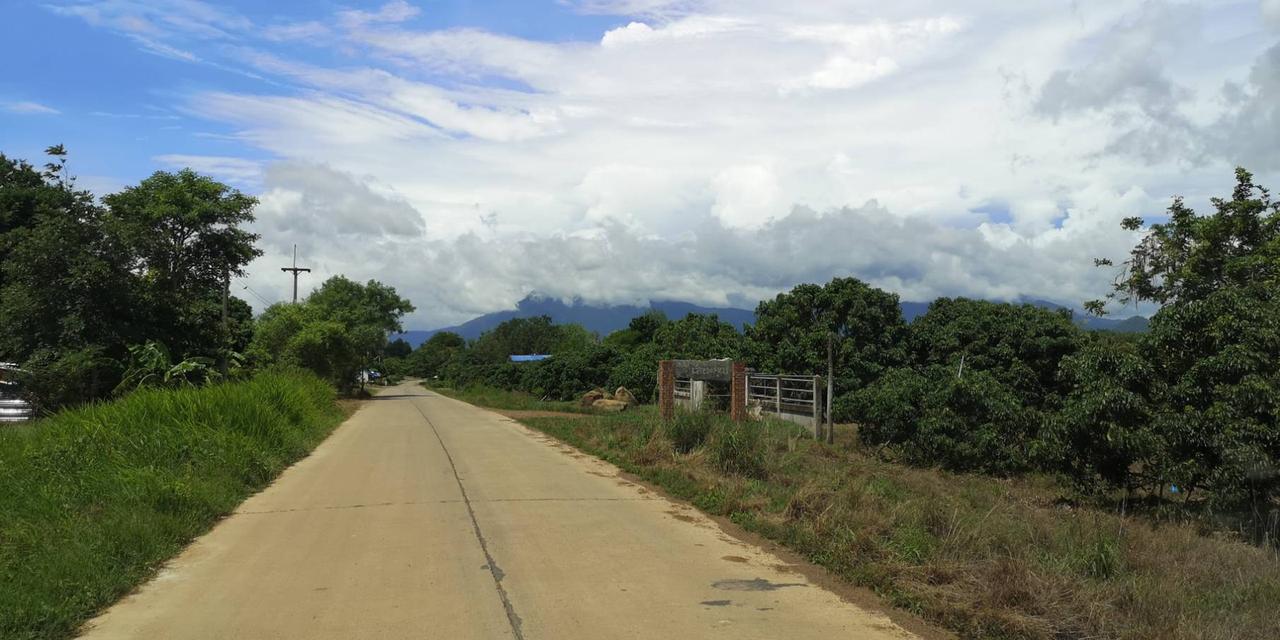 ขายสวนลำไย ยางพารา 136ไร่ สอยดาว จันทบุรี 3