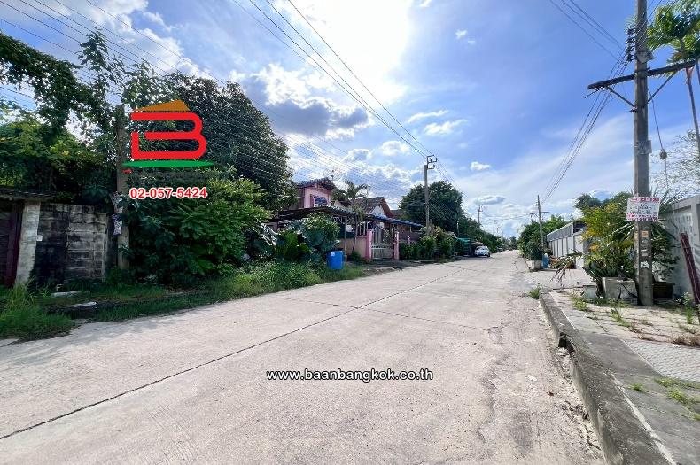 ที่ดินเปล่า ชัชฎาวิลล่า พุทธมณฑลสาย 3 (ซอย 1) เนื้อที่ 60 ตร.ว (ใกล้มหาวิทยาลัยมหิดล) แขวงบางไผ่ เขตบางแค กรุงเทพมหานคร 3