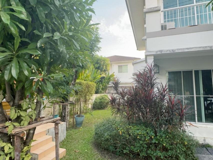 ขายบ้านเดี่ยว    โครงการ ชัยพฤกษ์ แจ้งวัฒนะ ราชพฤกษ์ 3