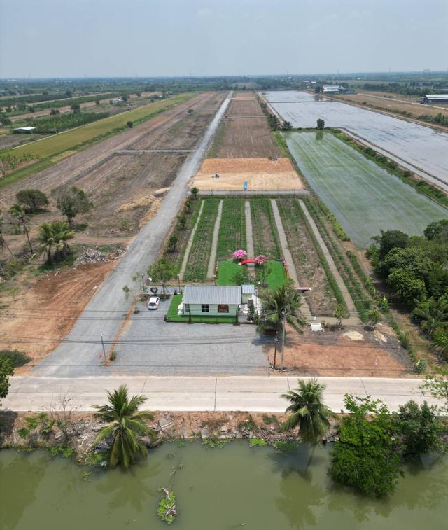 ที่ดินคลอง 8 บึงบอน เปิดจองแล้ววันนี้ 1 ไร่ ราคาแค่ 1.45 ล้าน ใกล้กรุงเทพ 6