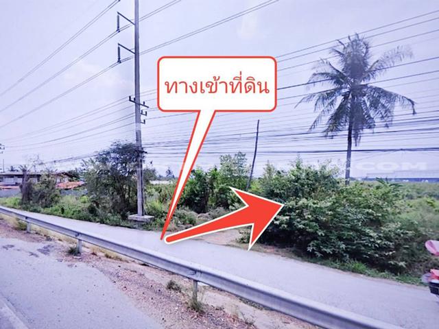 ที่ดินจัดสรรล็อคที่ 19 ถ.346 ต.หน้าไม้ อ.ลาดหลุมแก้ว จ.ปทุมธานี 10