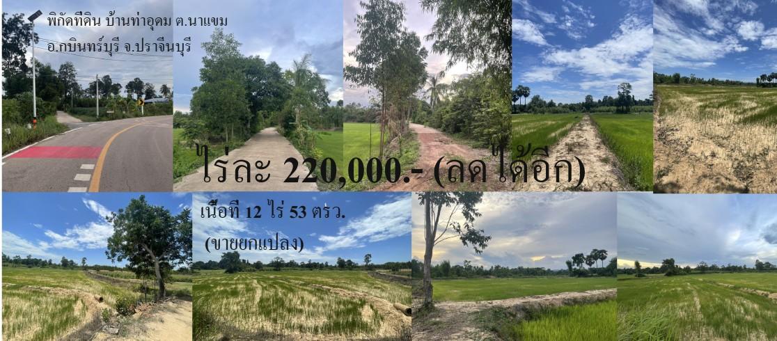 ที่ดิน จ.ปราจีนบุรี อ.กบินทร์บุรี ต.นาเเขม (บ้านท่าอุดม) 1