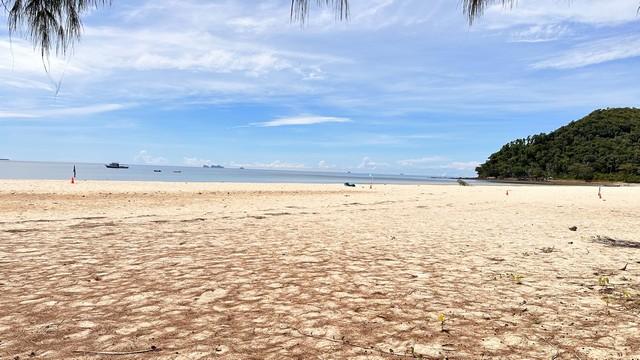 ตุนทรัพย์เก็บขายเก็งกำไร ขายที่ดินริมหาดสะพลีทรายขาวน้ำใสคราม สวยงามวิวทะเลธรรมชาติสุดสุด ปะทิวใกล้หาดสวยทุ่งวัวแล่น 2