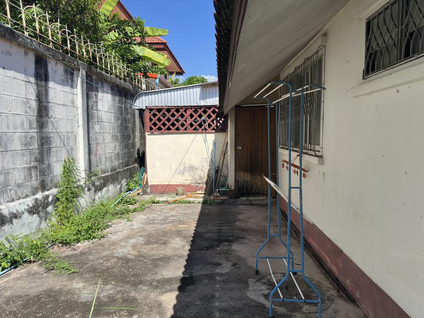 ขายบ้านเดี่ยว ชั้นเดียว ย่านหางดง หมู่บ้านธารอิงดอย 12