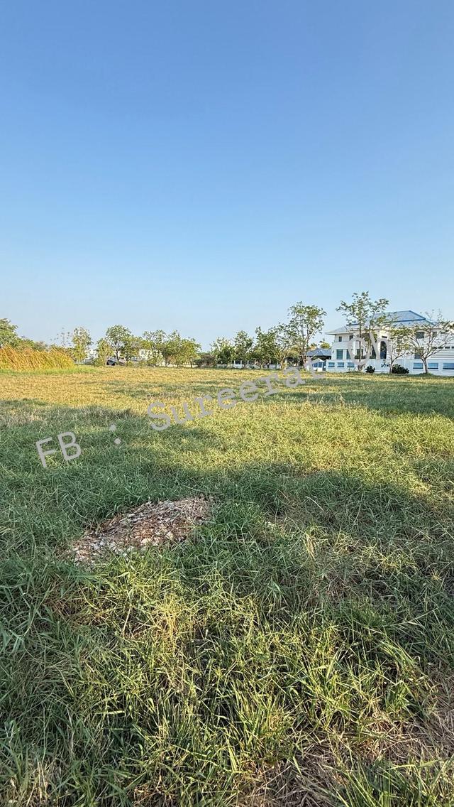ที่ดิน Green Valley (บางนา-ตราด กม.15) แบบบ้านราคา 2.5 ล้าน ได้รับอนุมัติแล้ว 5