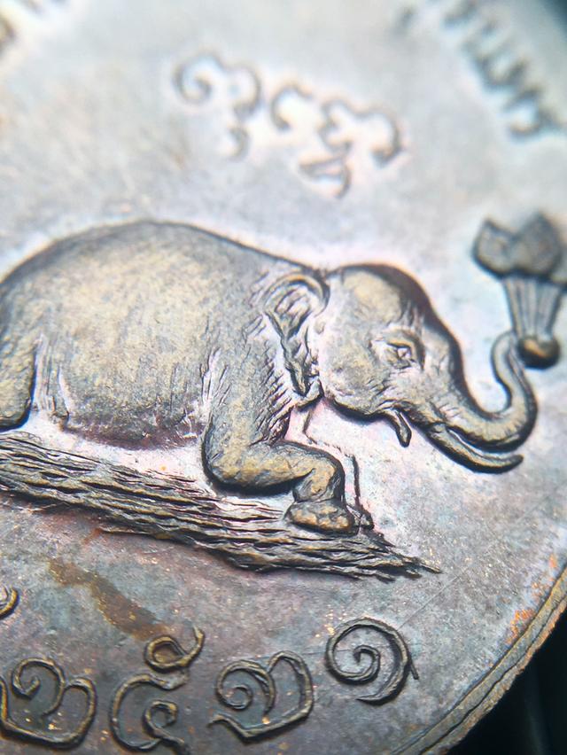 เหรียญช้างหมอบ ปี 2521 หลวงปู่ดุลย์ อตุโล วัดบูรพาราม จ.สุรินทร์ รูปที่ 7