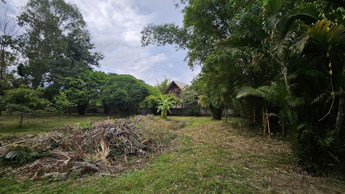 ขายที่ดินที่ดิน ต.หนองควาย พื้นที่ 2-1-83ตรว 22.6 ล้าน 19