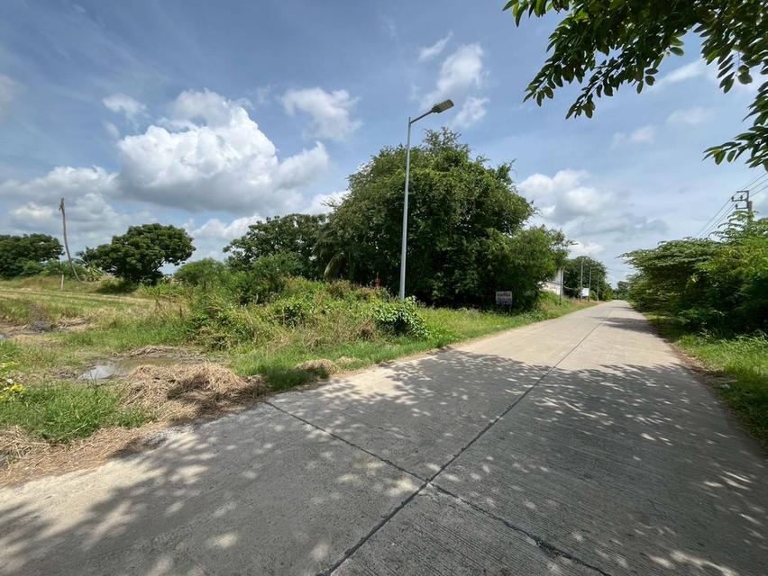 ขายที่ดินเปล่า เลียบคลองห้าร้อย ตำบลคลองขวาง อำเภอไทรน้อย จังหวัดนนทบุรี 2
