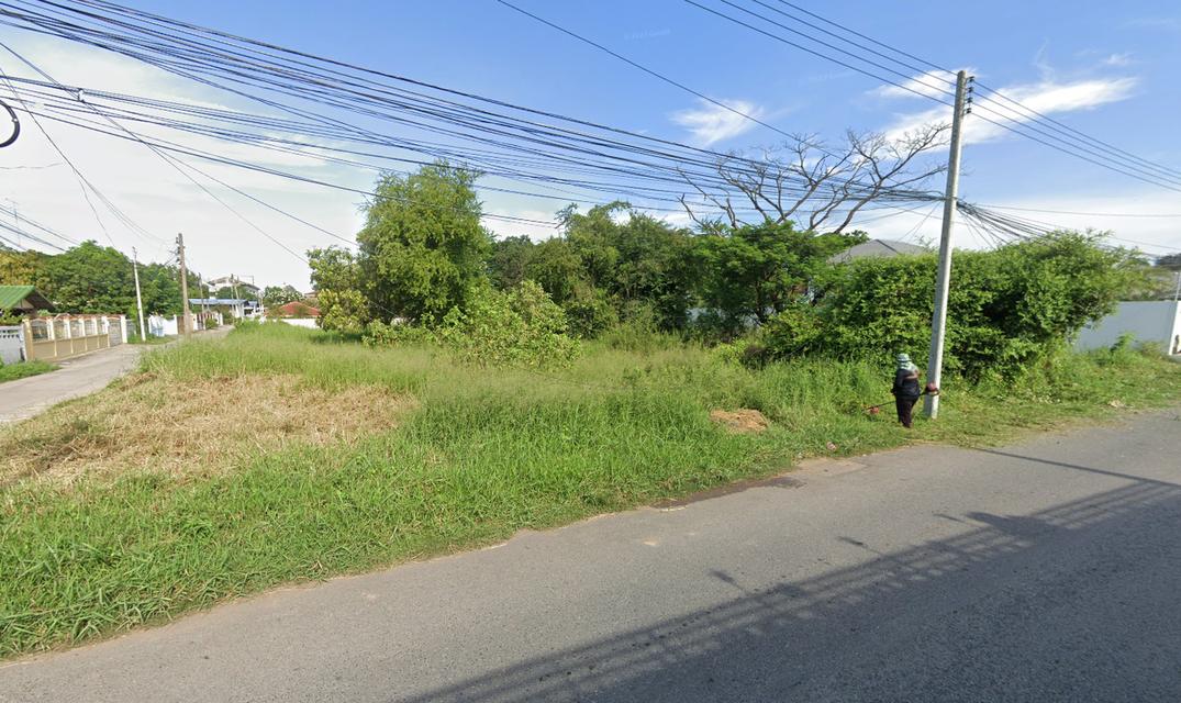 ขายที่ดินเปล่า 8