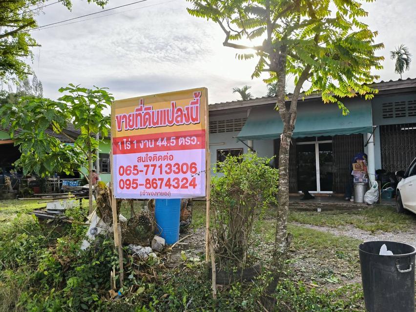 ที่ดินและบ้าน 1 ไร่ 1งาน 44.5 ตรว. ใจกลางเมืองฉกลง ระยอง ทำเลสวยงามราคาจับต้องได้ 8