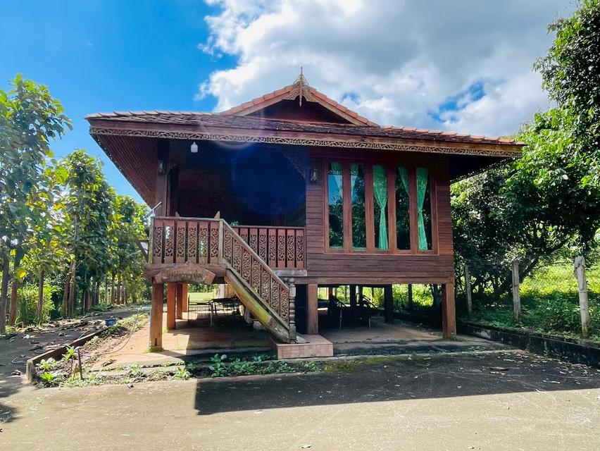 ขายบ้านสวนไม้สักทรงไทย ท่ามกลางธรรมชาติและวิวภูเขาล้อมรอบ 10,000,000 บาท จังหวัดเชียงใหม่ 13
